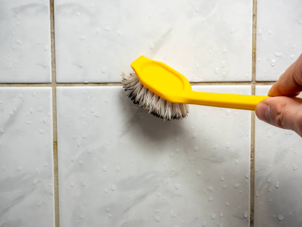 Best Home Mold Removal  in Eutaw, AL