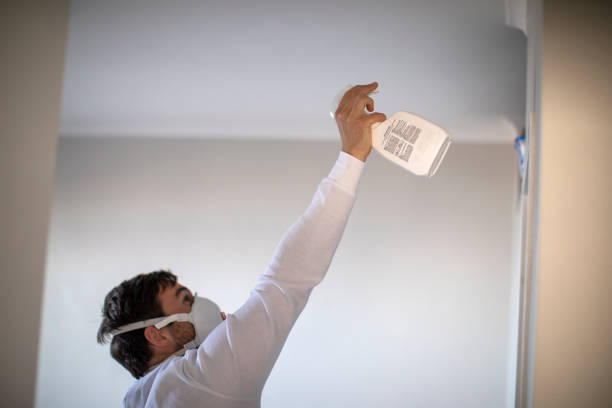 Certified Mold Removal in Eutaw, AL